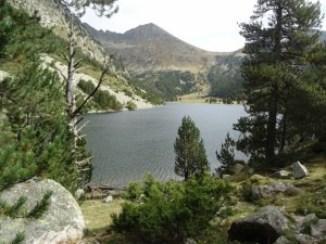 Estany llong (1)  